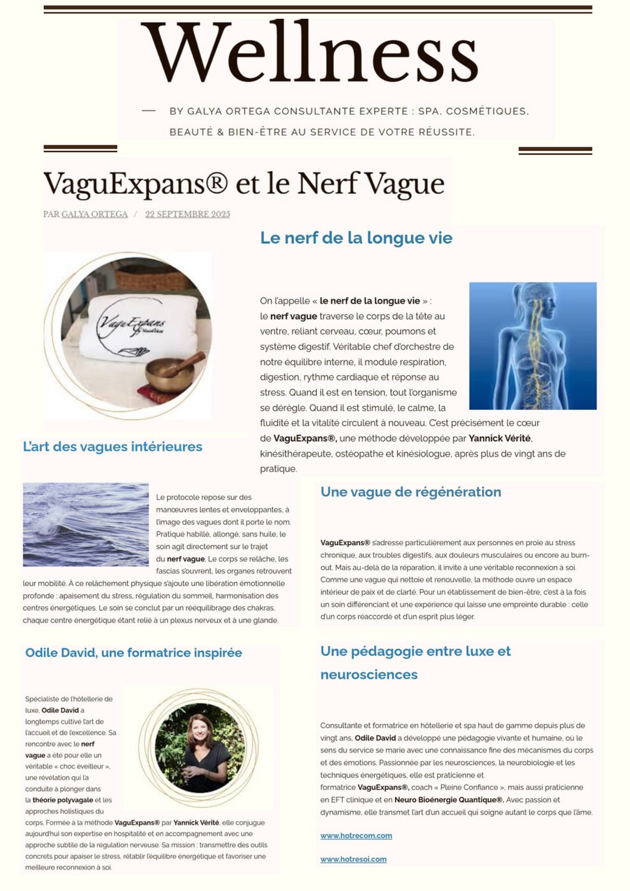 Wellness by Galya Ortega VaguExpans