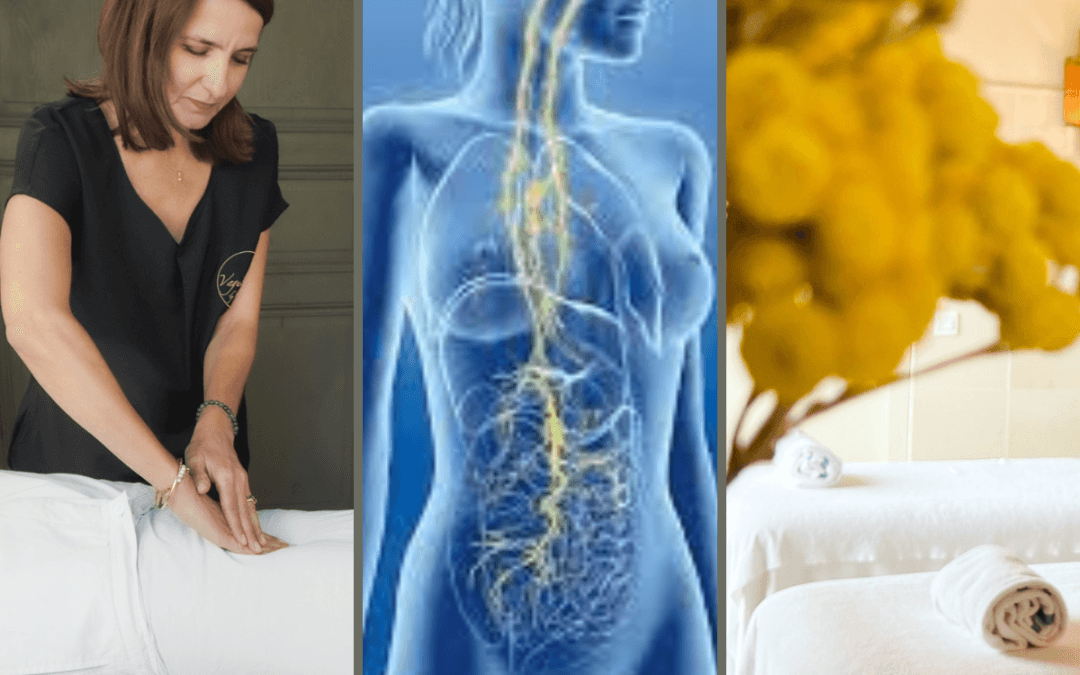 VaguExpans® : La formation qui stimule le nerf vague pour un bien-être global