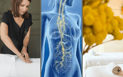 VaguExpans® : La formation qui stimule le nerf vague pour un bien-être global